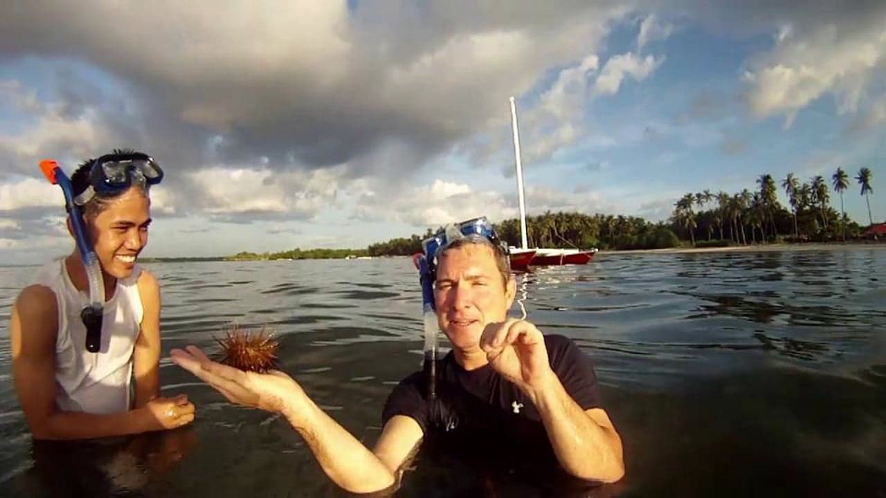 Philippines: Bohol Sea Urchins