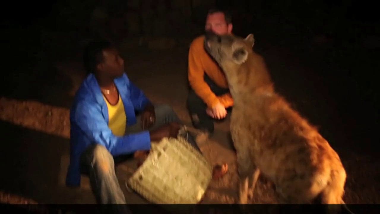 Ethiopia: Harar & Dire Dawa