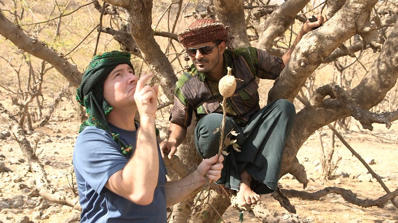 Oman: Salalah