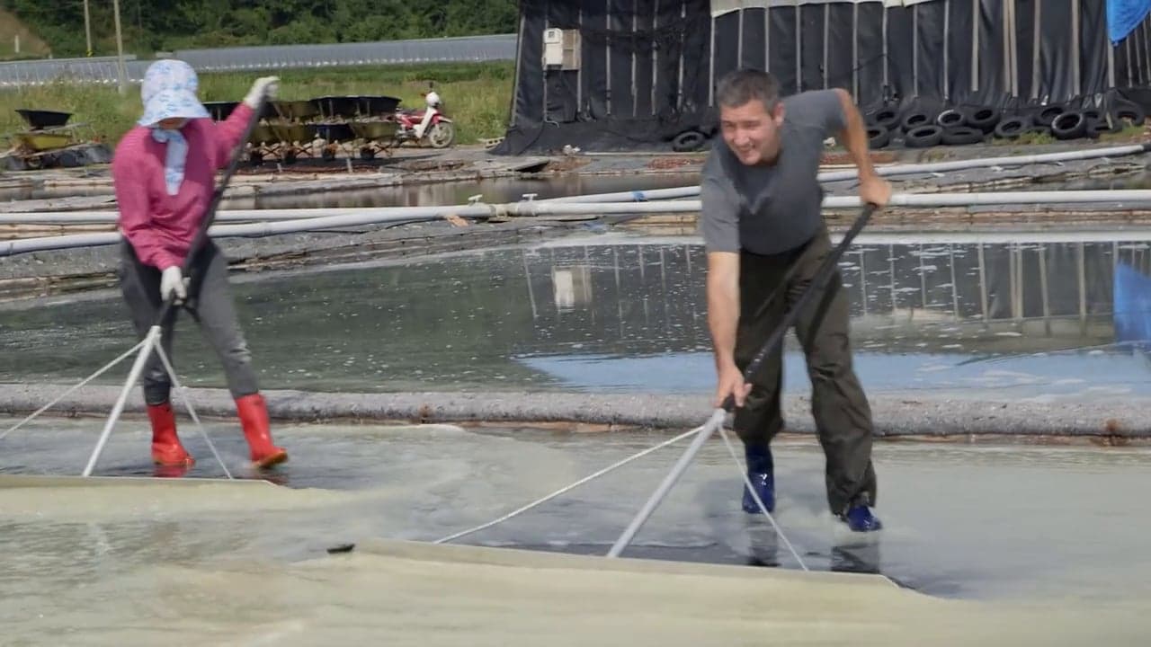 Korea: Salt Farm