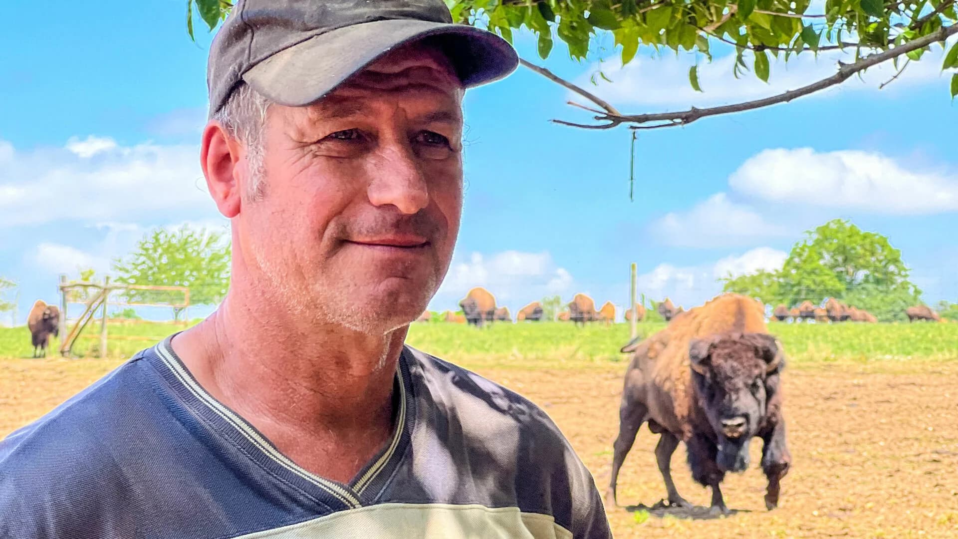 France: Deaf Bison Farmer