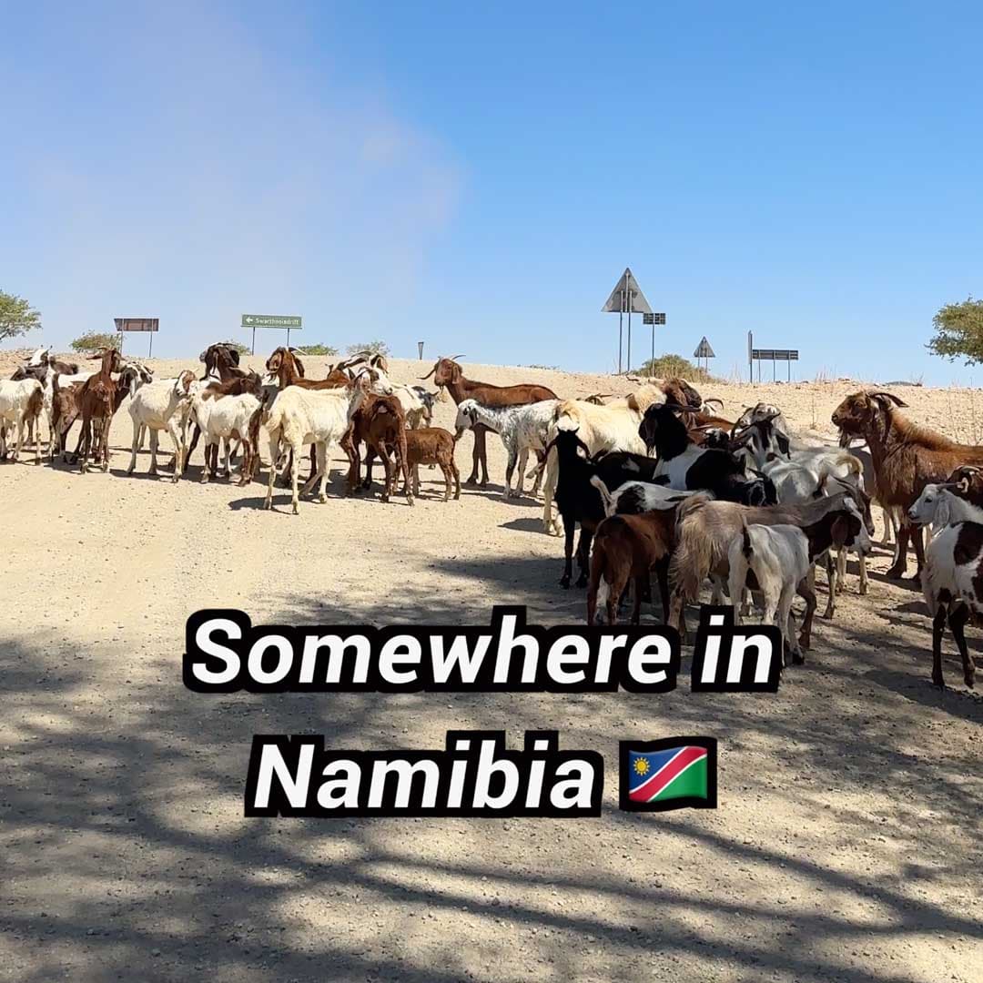 Namibia: Keep your eyes on unpaved roads