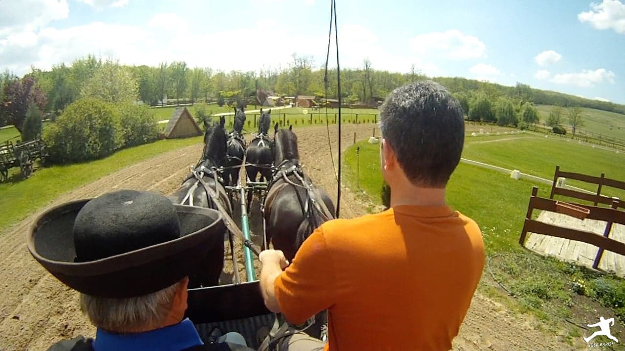 Hungary: Equestrian Show