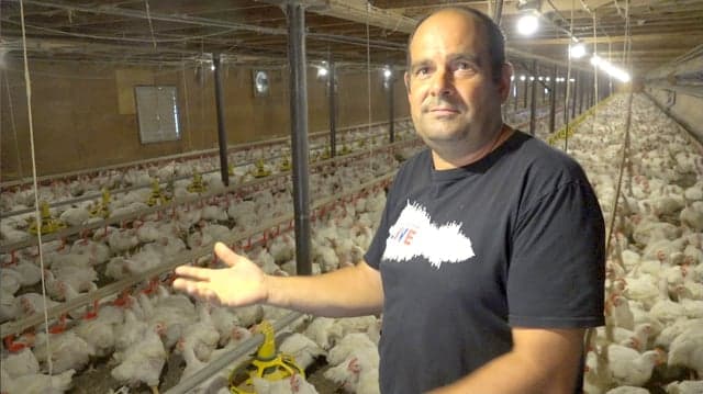 Quebec: Deaf Family’s Chicken Farm  FRENCH SUBTITLES